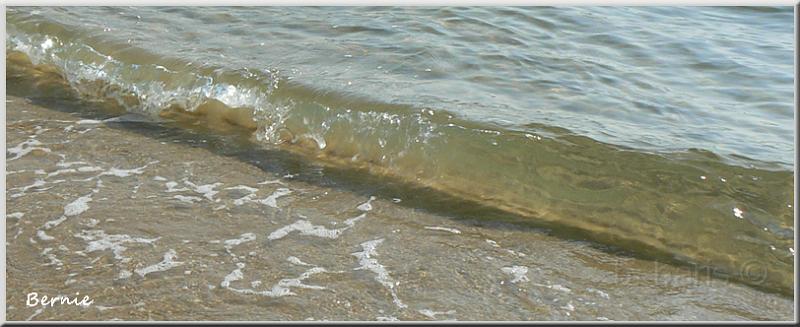 Cap Ferret 2.jpg - Le Cap Ferret